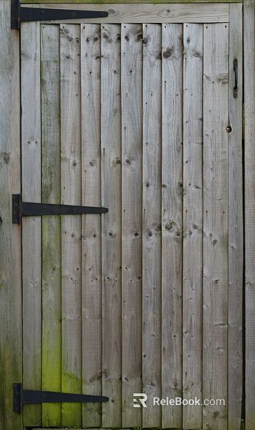 Wooden door texture