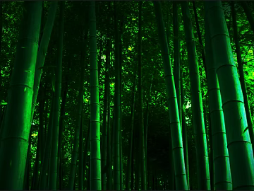 Bamboo texture (ID:ffaeg97887)