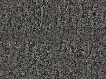 bark texture (ID:ffajg34102)
