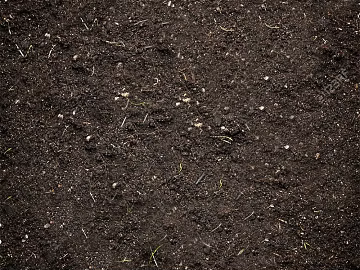 Soil texture (ID:ffadg04119)