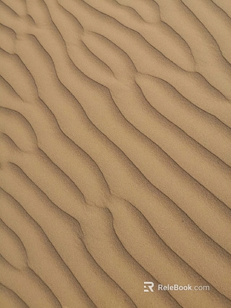 Sand Desert Garden Soil Dry Sand Soil texture