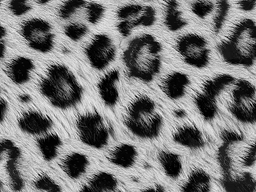 leopard animal fur fur texture (ID:ffach672718)