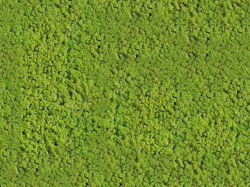 Turf texture (ID:ffach666498)