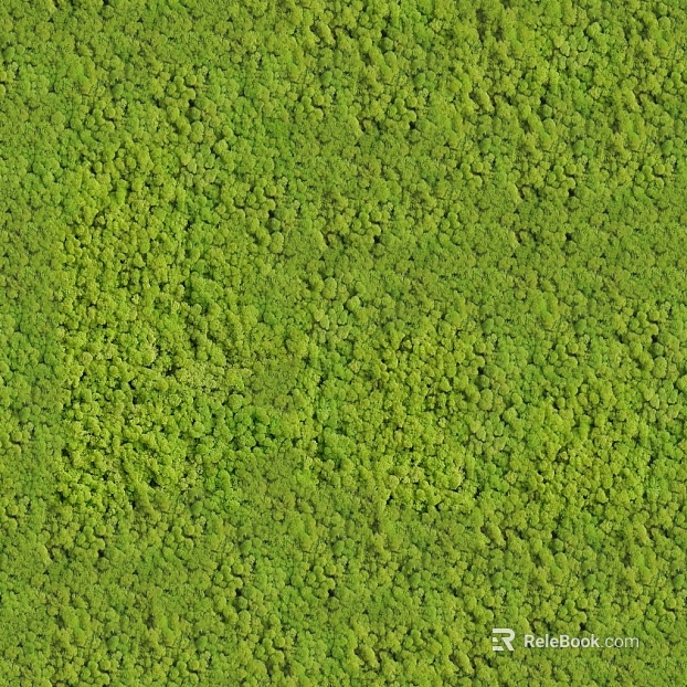 Turf texture