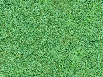 Turf ground texture (ID:ffaaf9002)