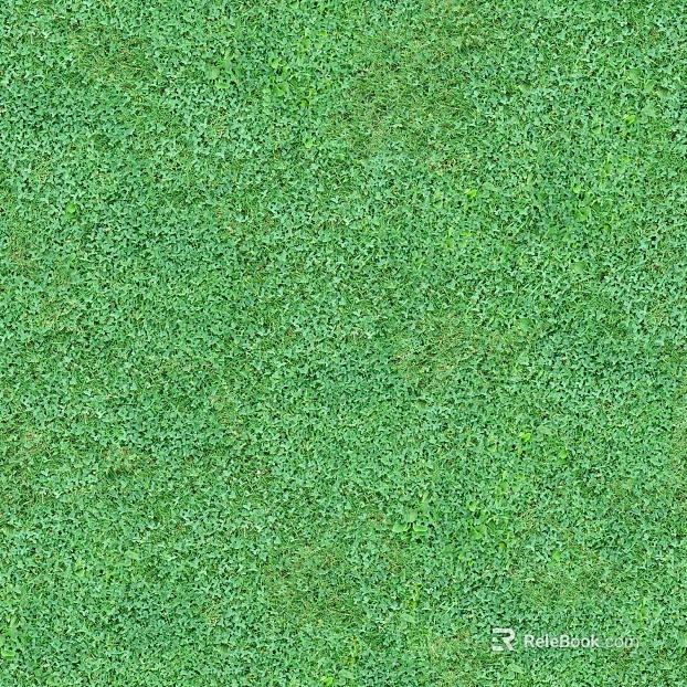 Turf ground texture