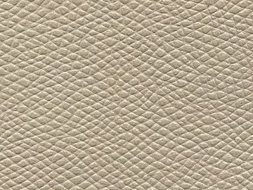 Coarse-grain leather texture (ID:ffaeg34242)