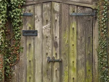 Wooden door texture (ID:ffagg40574)