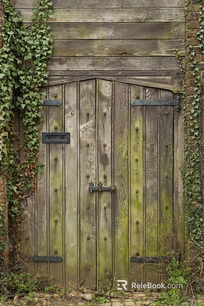 Wooden door texture