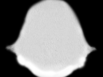 Black and white relief texture (ID:ffaeh729046)