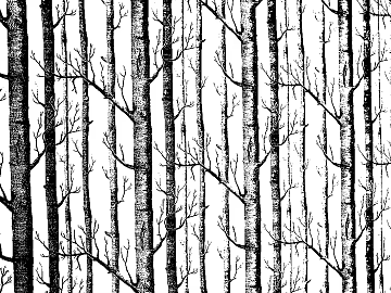 black and white painting texture (ID:ffabg16474)
