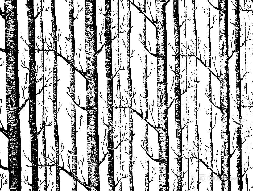 black and white painting texture