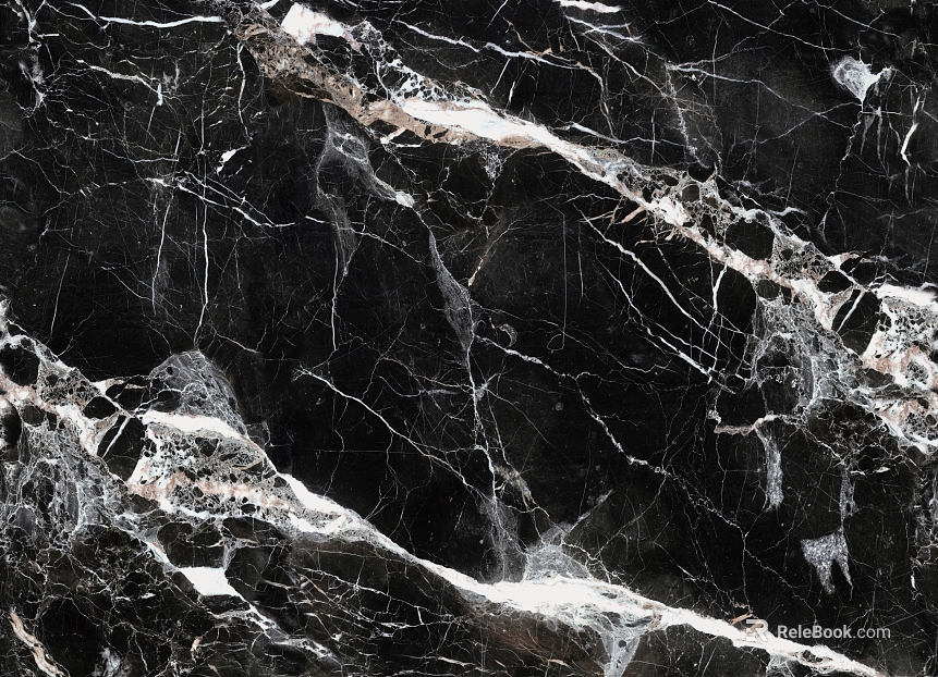 black reticulated marble texture