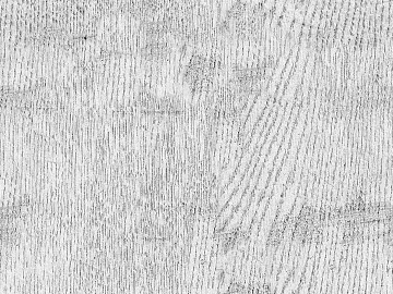 Black and White Bump texture (ID:ffacg20474)