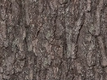 bark texture (ID:ffacg61122)