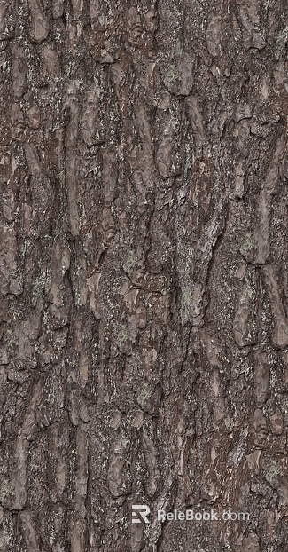 bark texture