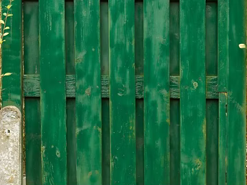 Wooden door texture (ID:ffagg09971)