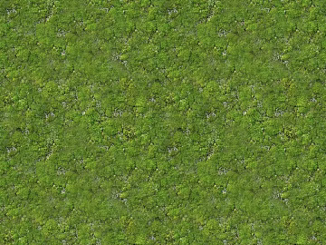 Turf texture (ID:ffacg21660)