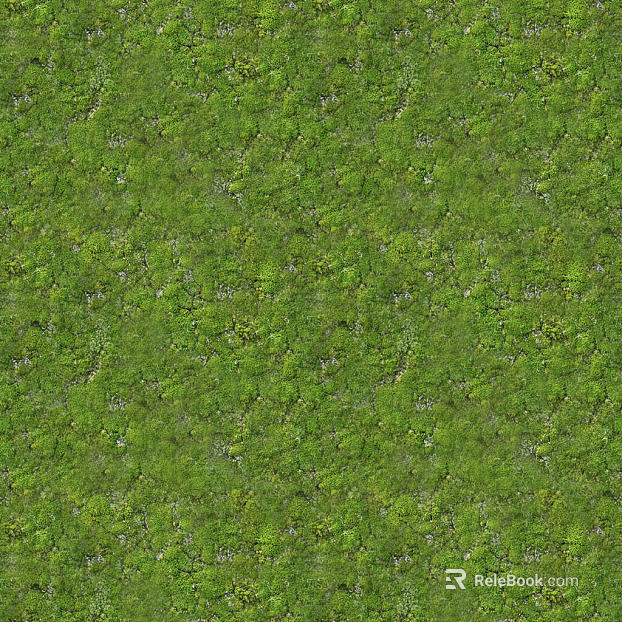 Turf texture