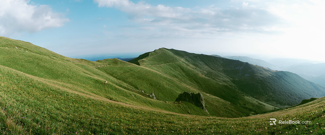 Wild Scenery texture