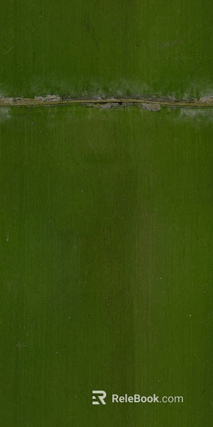Bamboo texture