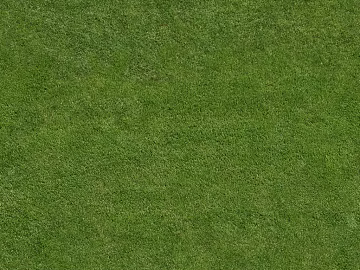Turf texture (ID:ffagg43344)