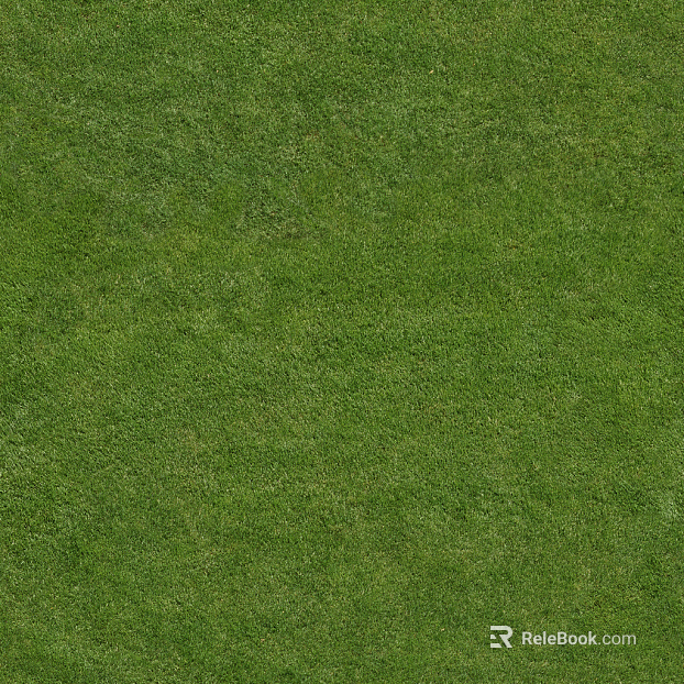 Turf texture