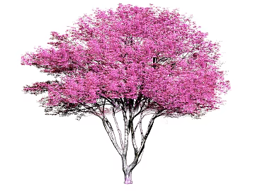 Flower Tree texture (ID:ffaag79585)