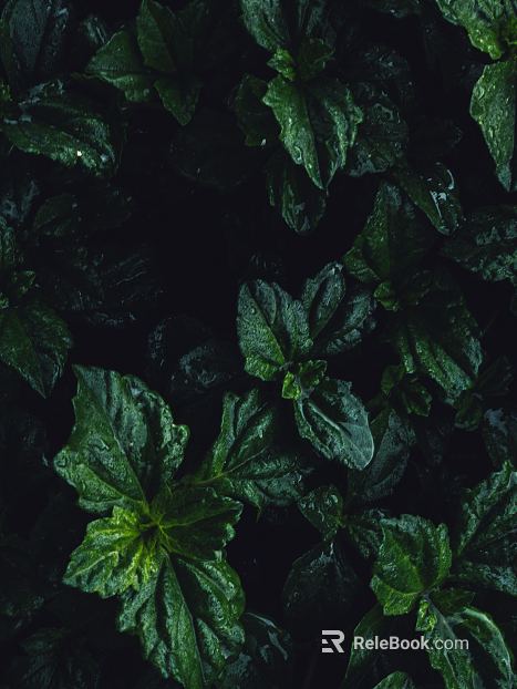 leaves texture