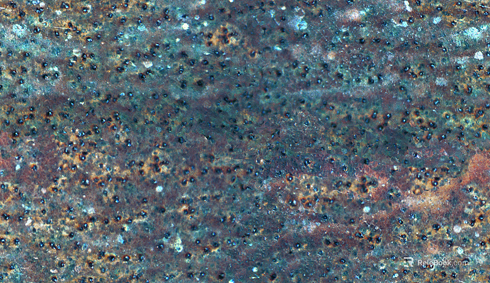 Do the old metal texture