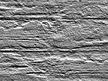 Black and White Bump texture (ID:ffabg26795)