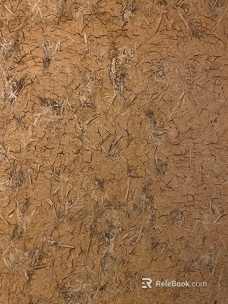 Mud texture