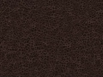 fine grain leather texture (ID:ffaag77829)