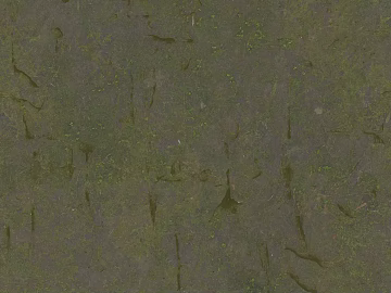 Green gray with moss stone paving outdoor ground texture (ID:ffaeh430389)