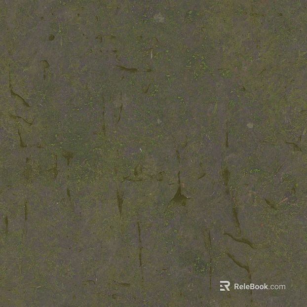 Green gray with moss stone paving outdoor ground texture