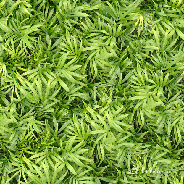 Turf ground texture