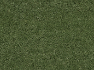 Turf texture (ID:ffaag75670)