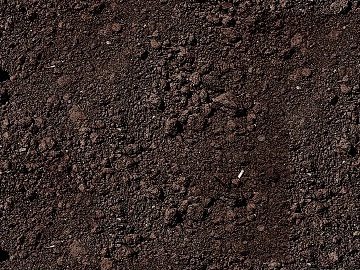 Mud texture (ID:ffabf0117)