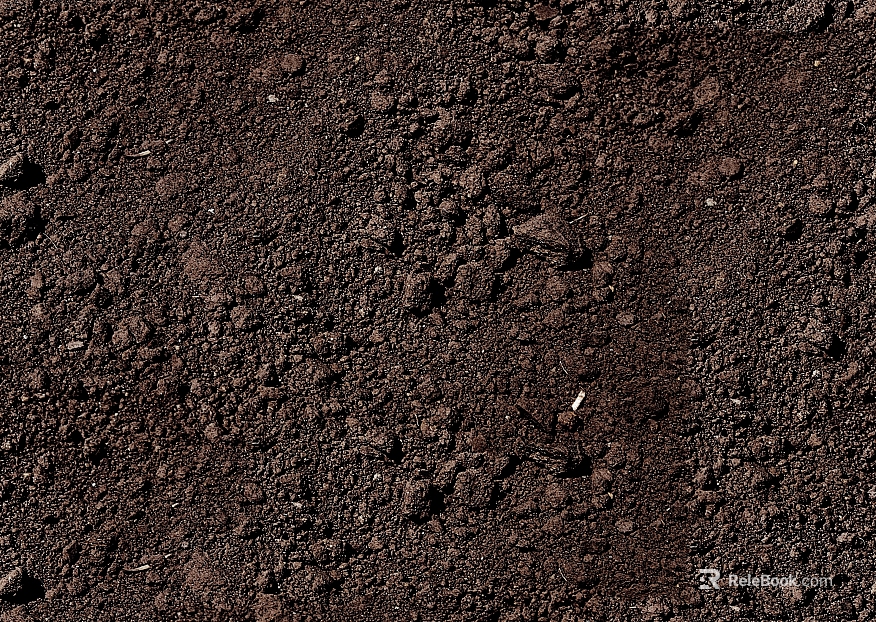 Mud texture
