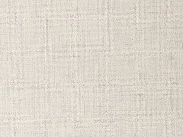 plain cloth 3d model