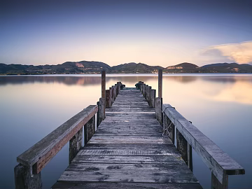 Wild Scenery texture (ID:ffaeg35082)