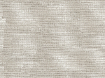 plain cloth texture (ID:ffaeg81802)