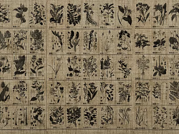 Retro black brown plant specimen cloth pattern texture (ID:ffaeh787336)