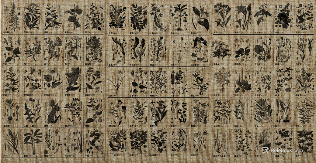Retro black brown plant specimen cloth pattern texture