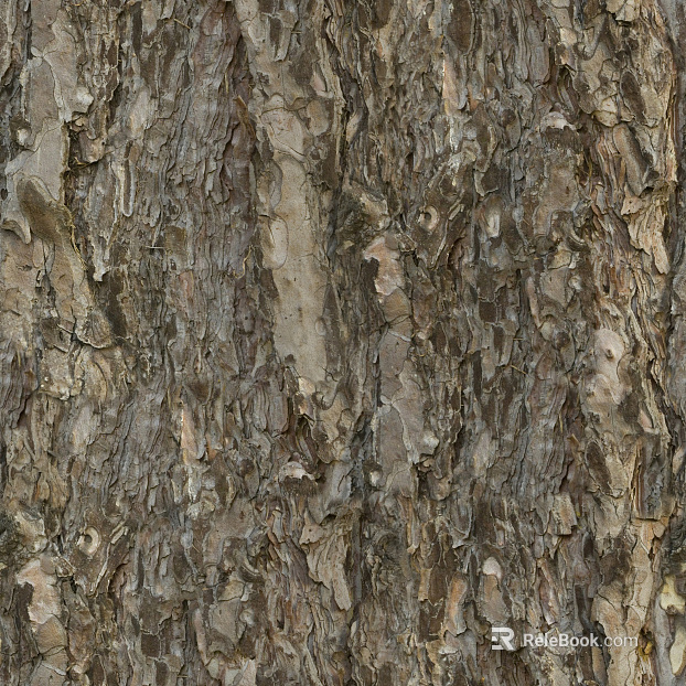 ancient tree bark texture