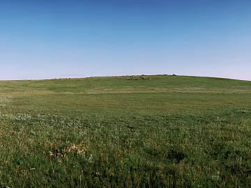 Wild Scenery texture (ID:ffach693106)
