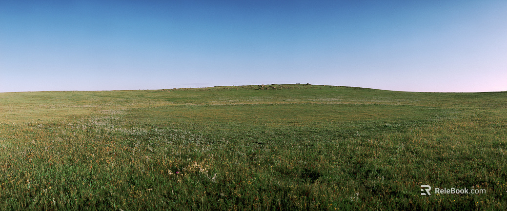 Wild Scenery texture