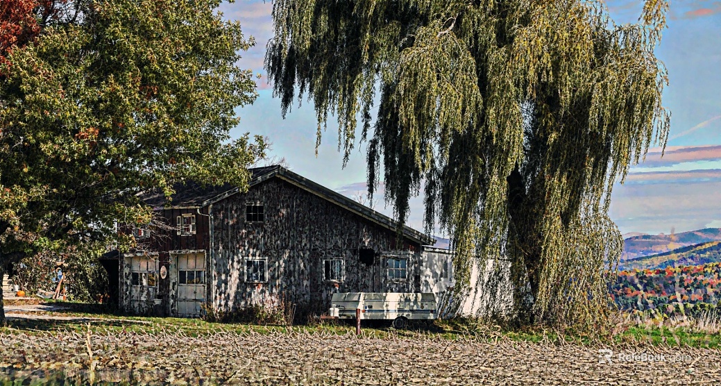 Exterior texture