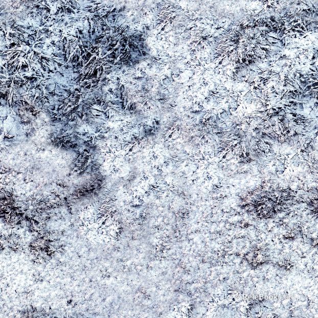 Snow texture