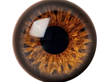 Dreamy black golden brown pupil animation eyeball texture (ID:ffach552985)